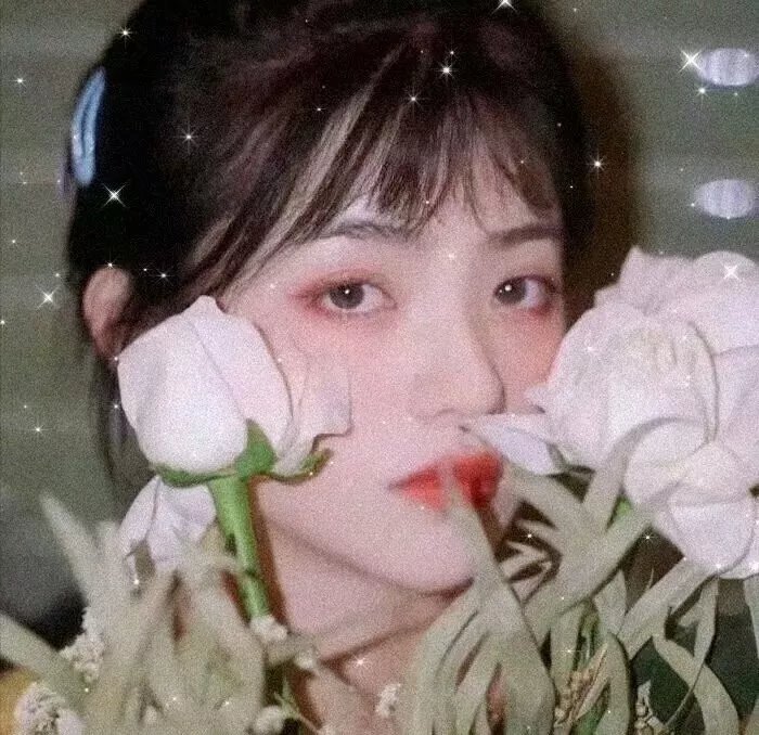 惨淡的青春